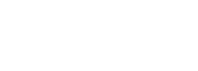 logo Vanessa Damy
